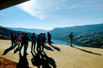 private douro valley wine tour from porto