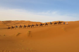 un paseo en camello en el desierto del Sahara en Merzouga